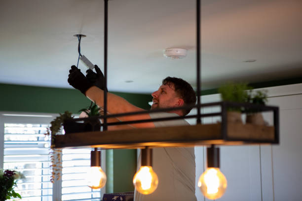 Best Industrial Electrical Services  in Lesslie, SC